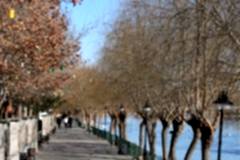 AVANOS IRMAK KENARI