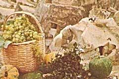 1973-turizm-tanitim