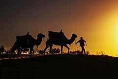 cappadocia-camel-sunset
