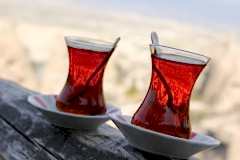 cay-bardagi-dost