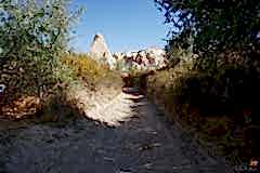 DSC01429