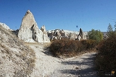 DSC01431