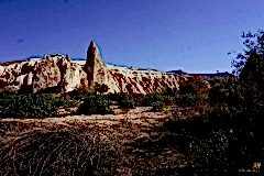 DSC01441