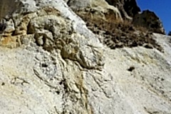 DSC01462