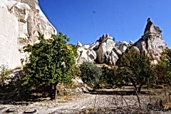 DSC01470